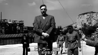 豆瓣评分8.3,这部波兰战争片尺度比南京南京还要大