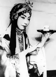 从张伯驹一生事迹看近现代文化与金融业间的关系