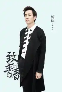 电视剧致青春剧照