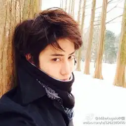 泰版浪漫满屋男主角mike私照网友帅过李敏镐