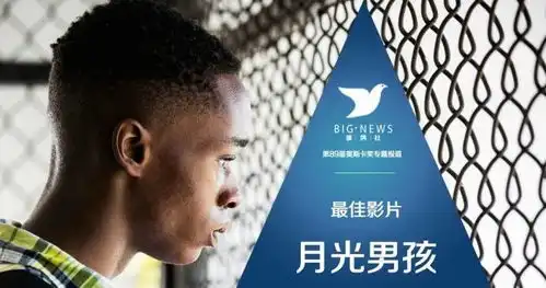 奥斯卡最佳影片惊天大反转不是爱乐之城而是月光男孩