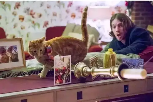 看一人一猫如何患难与共,成为感动全球的励志传奇