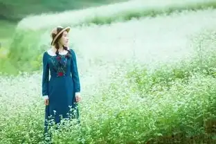 美翻了广西这个小众秘境迎来大片花海,天天向上也来此取景