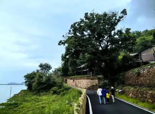 这个夏天,想你的风吹到一个叫豳风小院的地方

