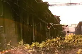 观念摄影盗梦空间
