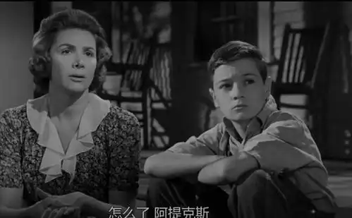 杀死一只知更鸟就是一桩罪恶
