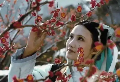 妙玉为什么不能返乡