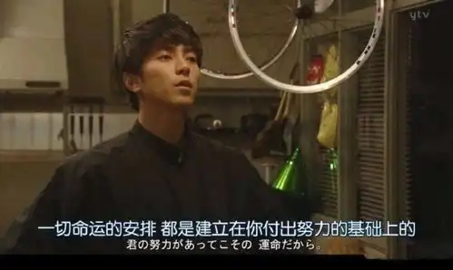 高三党们你们的高三是怎样的
