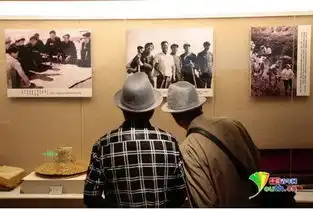 新时代幸福美丽新边疆草原儿女忆治沙以蒙古马精神守家园
