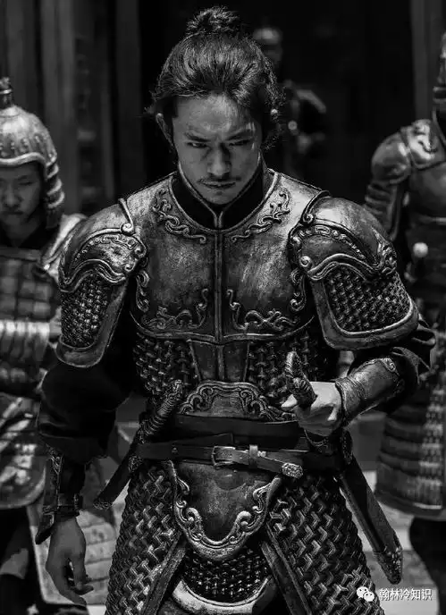 电影满江红宋高宗赵构,为何要杀忠臣岳飞