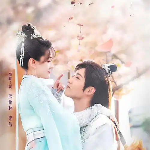 双世宠妃3开播,剧情反转女尊男卑,男人版的后宫争宠笑岔气