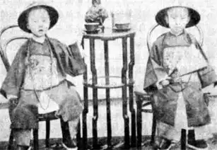 每日美文重修圆明园的诈骗案
