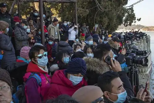 百看不厌千名大爷冒寒观颐和园,扛相机见证金光穿孔