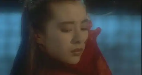 古文之美,仿若前人替你历练风雨琳琅,自来处来往去处去
