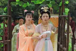 杨贵妃秘史2dvd9简装版dvd