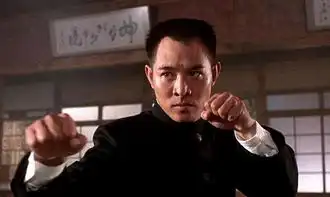 这才是真正的爱国为保住武术版权,李连杰拒拍美国黑客帝国