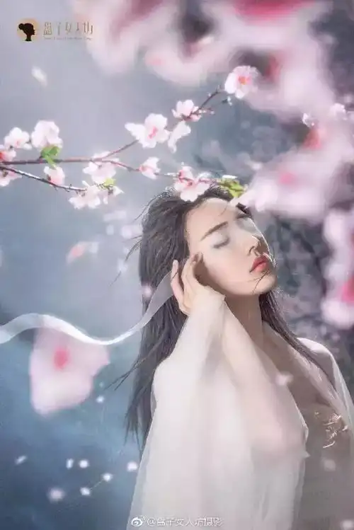 不可不看的三生三世十里桃花宣传海报
