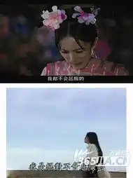 于抄抄裹挟宫剧接棒抄袭教主揭秘宫剧抄袭铁证
