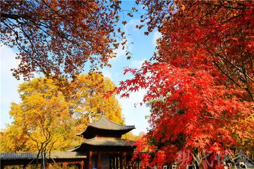 南京栖霞山再现神秘玄光,是人工杰作还是自然巧合
