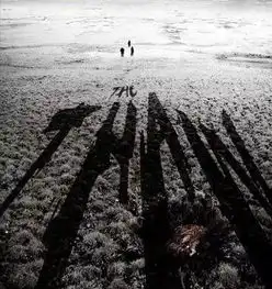 当古老的瘟疫病菌被释放,灾难片前奏正在俄罗斯上演