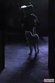 佛山园林工立交桥下蜗居10年