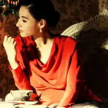 危险关系剧照张柏芝性感美艳
