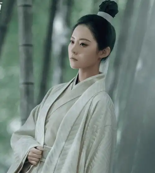 雪中悍刀行公布海报,美女如云,符合你心目中的形象吗
