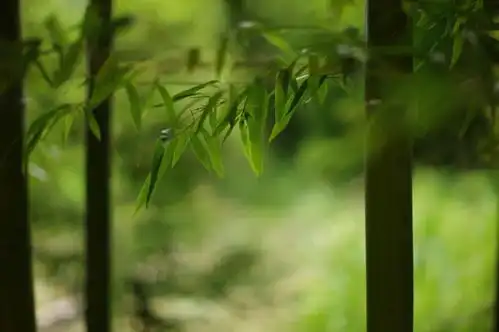 宋词中的最美初夏雨晴风暖烟淡,天气正醺酣
