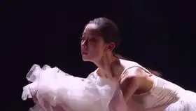 倾城倾国乱世佳人
