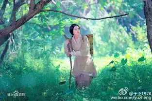 这是赵丽颖古装造型最美的一部戏,美如画