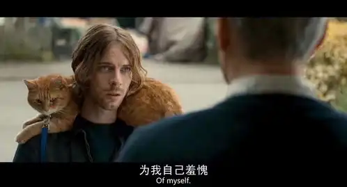 流浪猫鲍勃比吸毒更可怕的是吸猫女主是天使系列