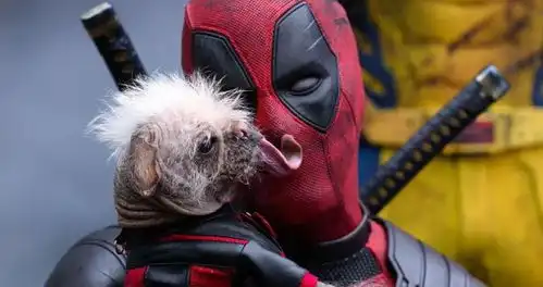 死侍与金刚狼把手伸进脑袋里也救不活濒死的漫威
