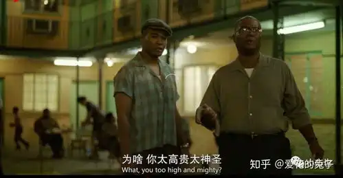 如何评价阿里影业投资的绿皮书获得奥斯卡最佳影片奖
