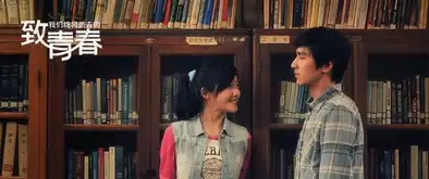 致青春剧照
