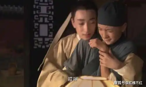 红楼梦秦钟的堕落一个儒雅翩翩公子,偏闯进灯红酒绿的贾府
