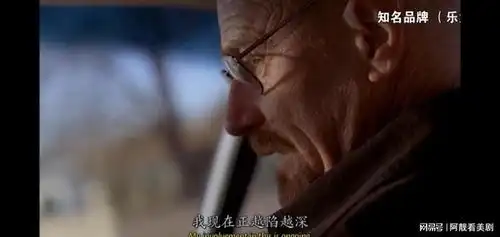 神剧绝命毒师第三季中几个匪夷所思的地方,炸鸡叔为什么救老白
