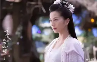 十年后,长芳主依然陪你一起来看流星雨
