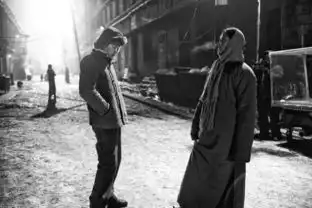 电影文学﹁黄金时代我们值得在彼此欣赏的季节激情相遇