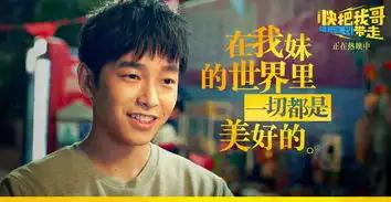 我把我哥弄丢了
