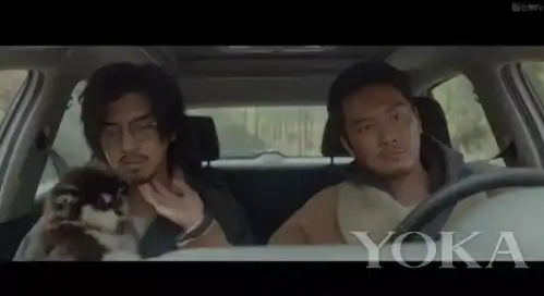 狗狗为何对春春舒淇如此放肆看他们相处的方式就秒懂imc中尧文化传播