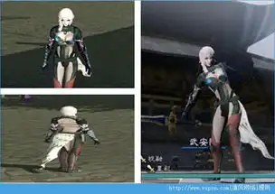 真三国无双7mod真三国无双7猛将传最终幻想王异mod预约清风手游下载网
