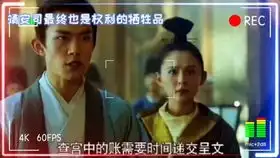 长安十二时辰做一天不良帅守一天长安