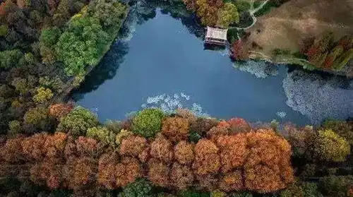 江苏野外2020原力7天夏令营,紫金山两大营地,玩转探险之旅
