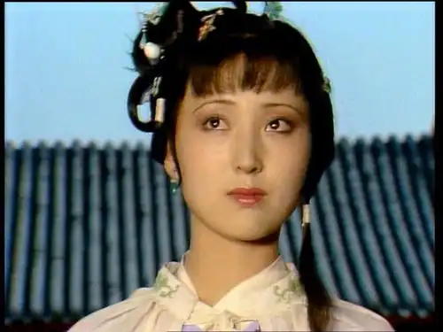 红楼梦荣宁府之谜刘姥姥和贾雨村去的,其实是俩荣国府