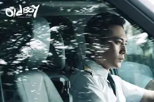 老男孩知爱版人物剧照首发刘烨林依晨一路同行