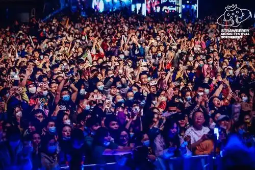 真这么火预售门票光速告罄草莓音乐节让长沙热度大涨
