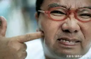 张天志之后,张晋还有3部电影,1部夫妻联袂,1部合作史泰龙