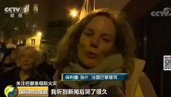 巴黎圣母院大火刚扑灭,就有人收到重建捐助短信
