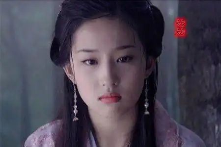 笑傲江湖之后,原来风清扬接替了华山掌门袁承志来告诉你