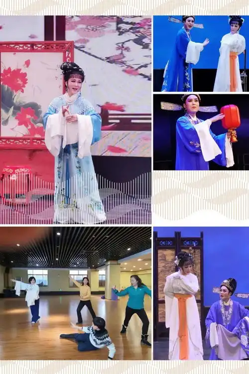 看经典古装越剧情探,赏七尺水袖边歌边舞
